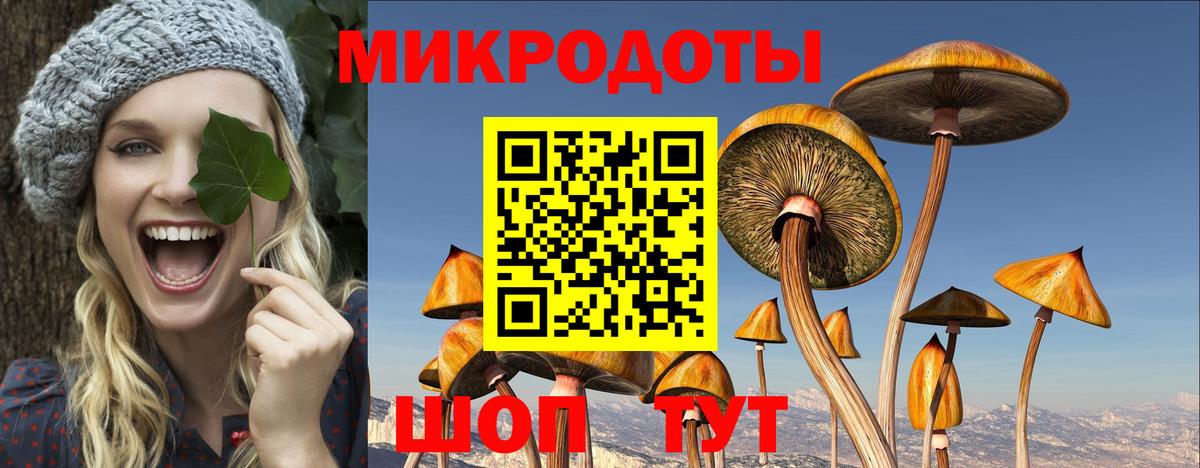 Галлюциногенные грибы GOLDEN TEACHER Россия