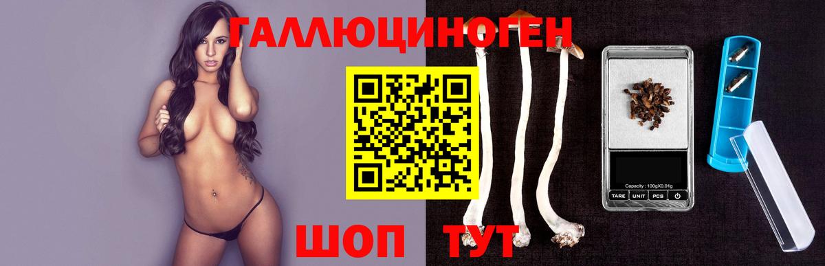 Россия  Галлюциногенные грибы ЛСД  хочу наркоту  Вход с VPN 
