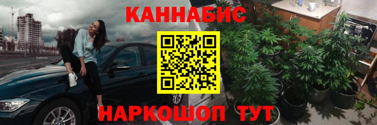 Бошки Шишки семена Россия